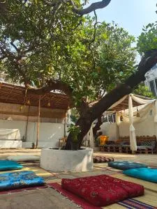 HOT - HOUSE OF TRAVELLERS, Vagator - Assagao