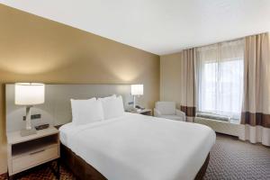 Queen Room - Disability Access/Non-Smoking room in Comfort Inn & Suites Carneys Point