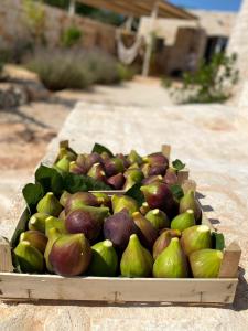 Trulli Satia