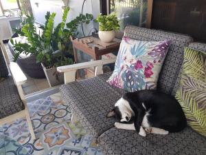 Single room in single house,not accept single male customer