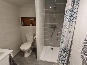 Appartements Studio 2 etoiles Le Balcon du Dome : photos des chambres