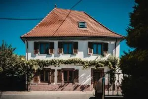 Casa Kaiserstuhl Spätburgunder - Amoltern