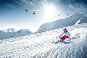 Ferienhaus Hohe Tauern in Piesendorf
