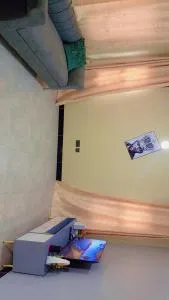 Acacia Pearl - Kyebando