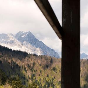 Rifugio Escursionistico Tita Piaz