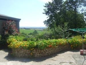One-Bedroom Apartment room in Frankaborough Farm Holiday Cottages