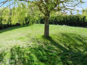 Maisons de vacances Maison charmante a L'Isle-sur-la-Sorgue avec jardin cloture : photos des chambres