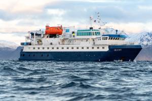 24hrs Northern Lights & Whale Watching Cruise