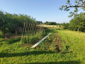 B&B / Chambres d'hotes La Parenthese a Etrigny : photos des chambres