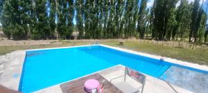 Domos ámbar Malargüe 1