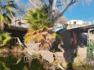 El salto del Río Conchos