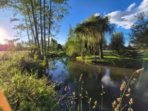 Appartements Gite Litterature dans le Perche : photos des chambres