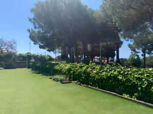 Your Pet-friendly Home In Sant Pol