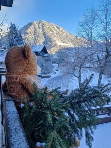 Appart'hotels Chalet Appart'Hotel l'Eau Vive : photos des chambres