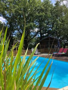 Maisons d'hotes Les Lodges de Phanou : photos des chambres