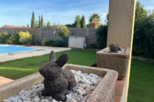 Maisons de vacances La Flemme en Rose- Villa avec piscine-Pet Friendly : photos des chambres