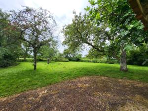 Maisons de vacances Maison de Campagne Les Loges de Brenne : photos des chambres
