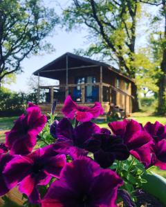 Maisons d'hotes Les Lodges de Phanou : photos des chambres