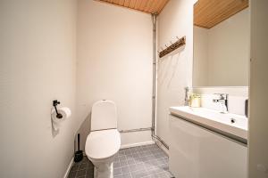 Levillas Skimbaajankuja 6 as3, 2 ski pass included