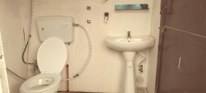 Mystic Vibes Fitness- Commune