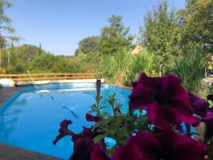 Maisons d'hotes Les Lodges de Phanou : photos des chambres