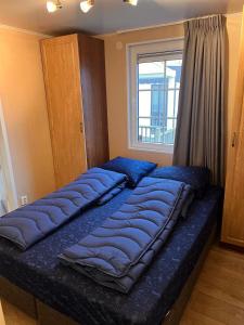 RBR 1143 - Beach Resort Kamperland