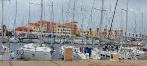 Le nid des hirondelles