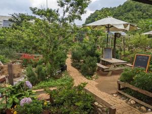 Plum Hill - Moc Chau