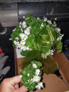 Walla 6 - Bodenfelde