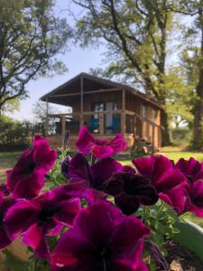 Les Lodges de Phanou