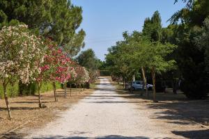 Happy Camp in Costa dArgento Camping Village Club Capalbio