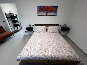 The One Malpensa Rooms - 维佐拉提契诺