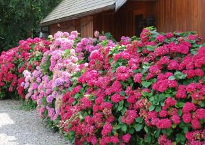 Chambres dhotes du creulet