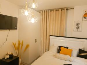 Cozy and Luxurious studio