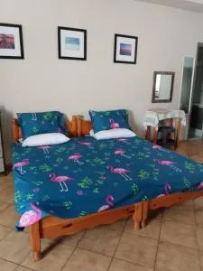 Letty's Studio - with Free Gym membership - Vragkaniótika