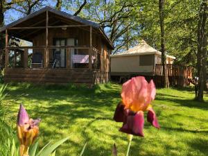 Tentes de luxe Les lodges de phanou Tente lodge : photos des chambres