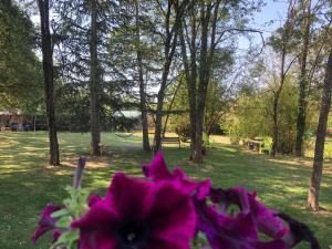 Tentes de luxe Les lodges de phanou Tente lodge : photos des chambres
