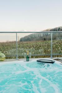 Villas Maison 4 chambres avec jaccuzi piscine privee et sauna : photos des chambres