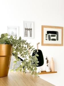 Appartements Casa del Sol, A quelques pas du port et des plages : photos des chambres