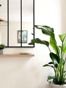 Appartements Casa del Sol, A quelques pas du port et des plages : photos des chambres