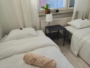 M&J Apartments Centrum