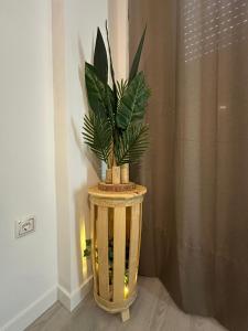 Apartamento Crucero