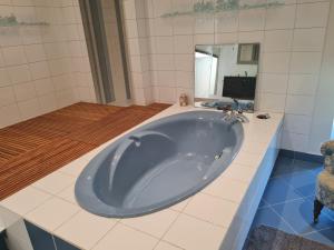 Maisons de vacances Le Sabatin - Maison de charme, un ecrin de verdure : photos des chambres