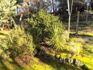 Villas La Palmyre - MAISON INDIVIDUELLE - au CALME - PROCHE FORET : photos des chambres