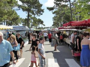 Villas La Palmyre - MAISON INDIVIDUELLE - au CALME - PROCHE FORET : Maison 3 Chambres
