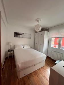 Piso bonito y tranquilo en Bilbao
