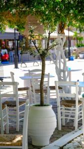 Cocoon Hotel-Beach bar