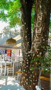 Cocoon Hotel-Beach bar