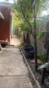 Suite guest house for Rent