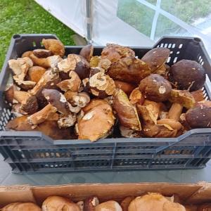 Sejours chez l'habitant Clos A Malypense chez Mr Montamat : photos des chambres